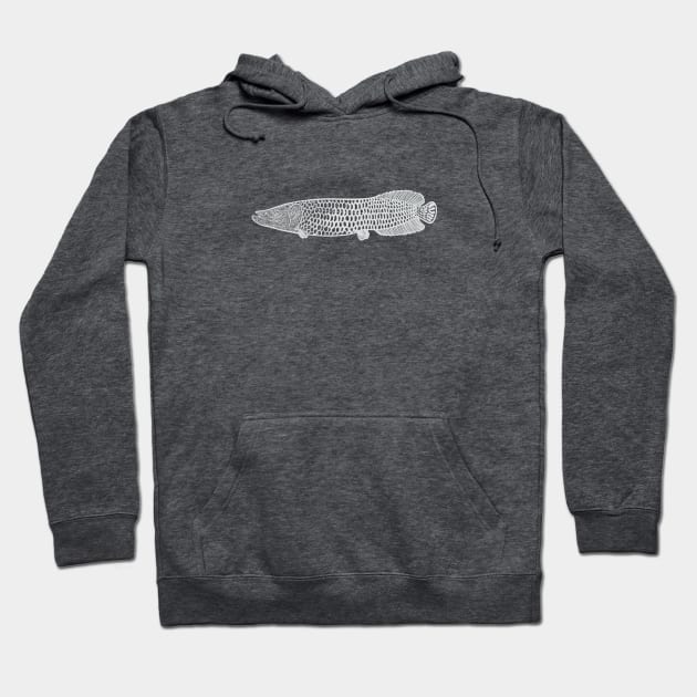 Arapaima - hand drawn detailed huge fish drawing Hoodie by Green Paladin